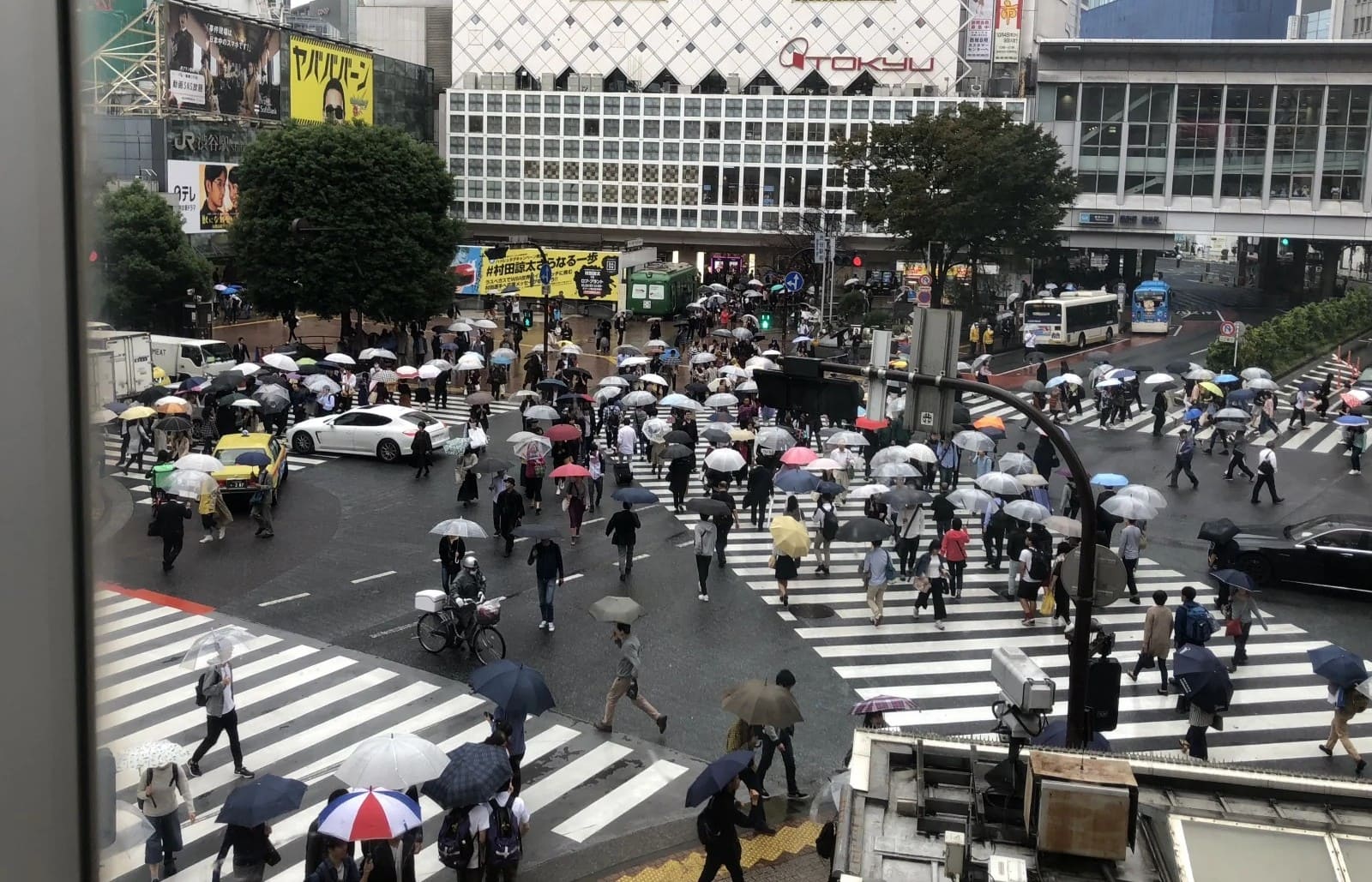 rain in shibuya