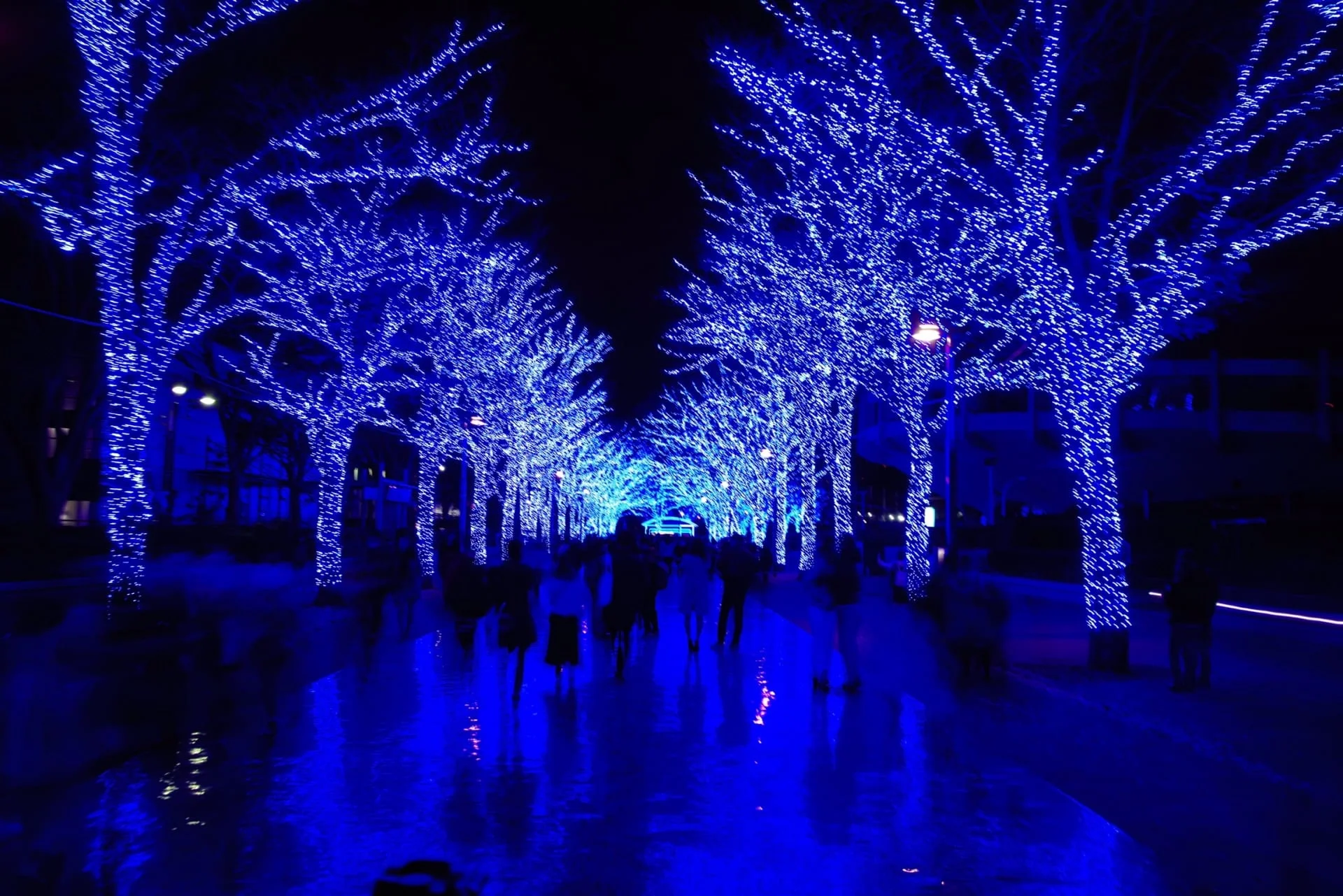 shibuya blue cave