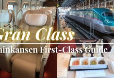 Shinkansen Gran Class Guide