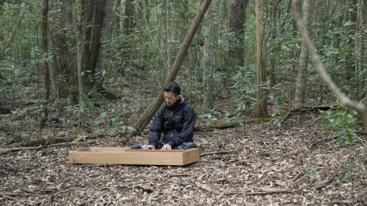 Yakushima Premium Tour