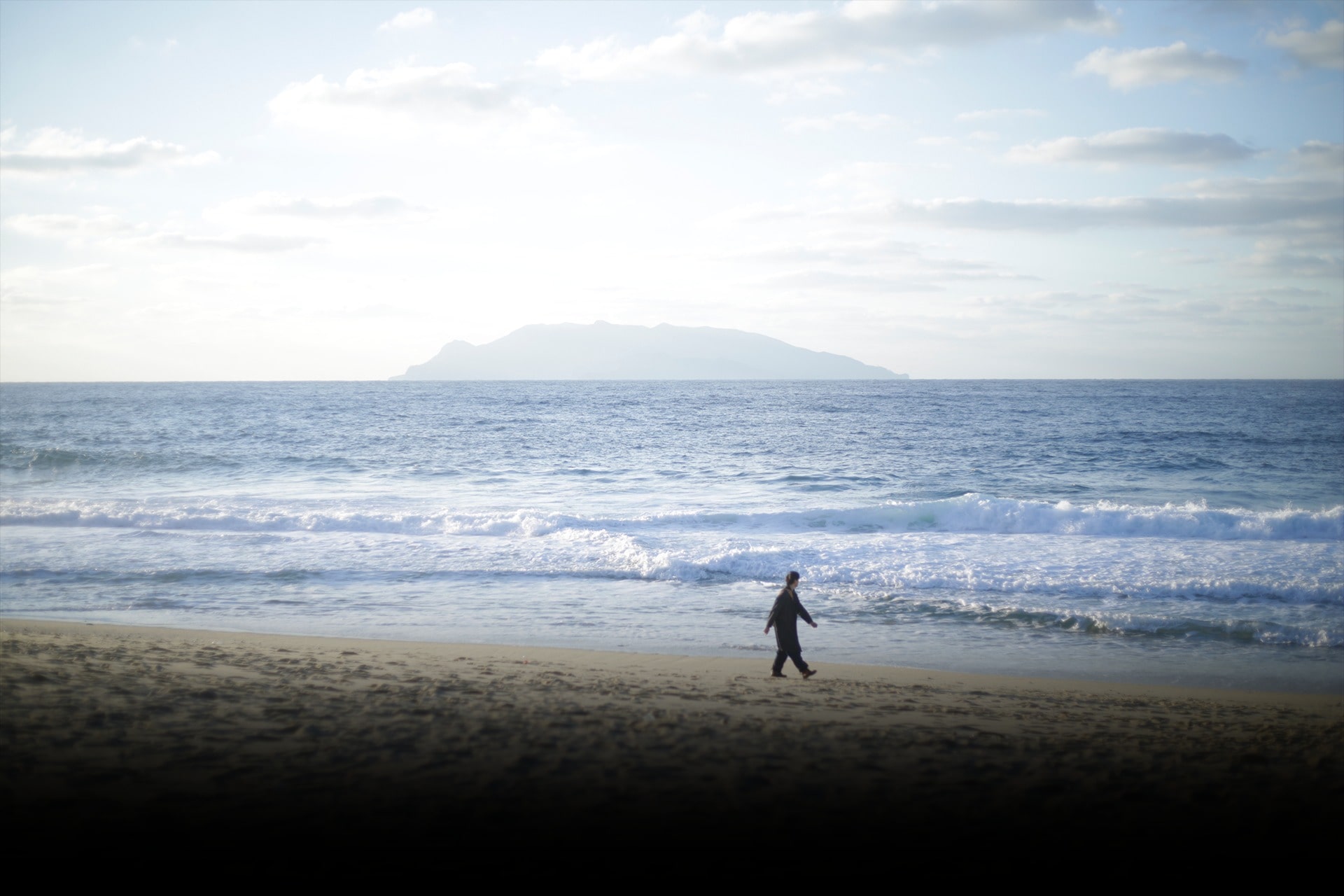 Yakushima Premium Tour
