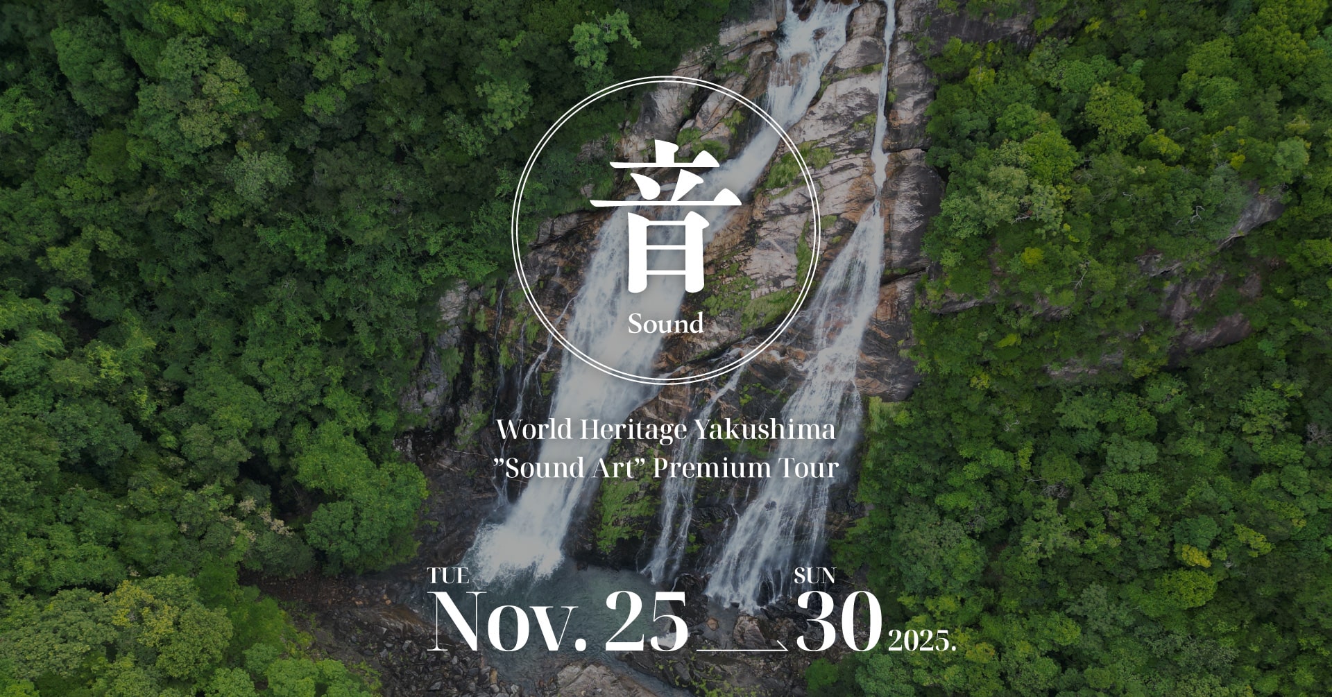 Yakushima Premium Tour