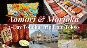 Aomori and Morioka Trip from Tokyo