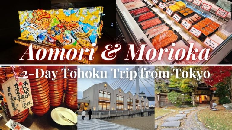 A Perfect 2-Day Tohoku Itinerary from Tokyo by Shinkansen: Aomori and Morioka Travel Guide