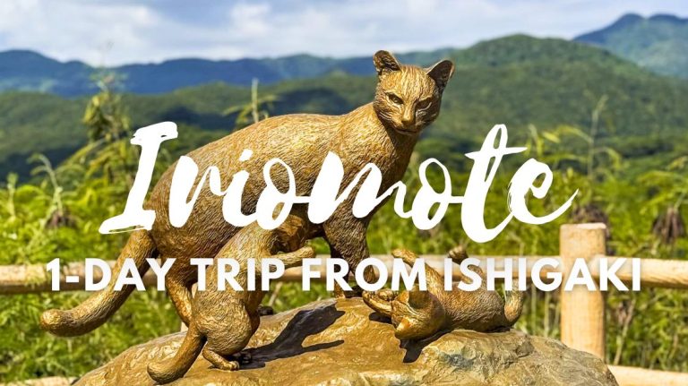 1-Day Trip to Iriomote Island From Ishigaki