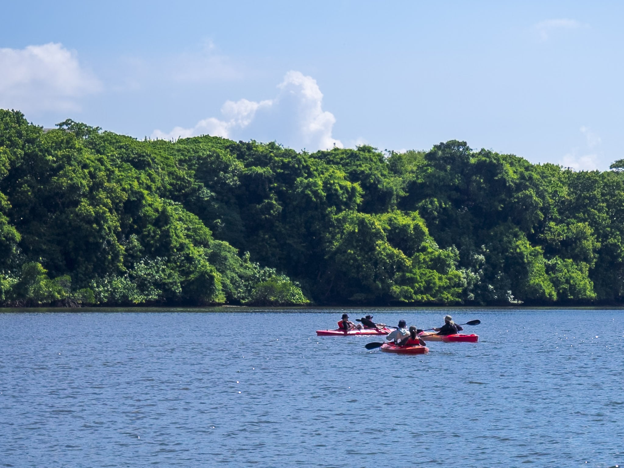 Kayaking in Iriomote