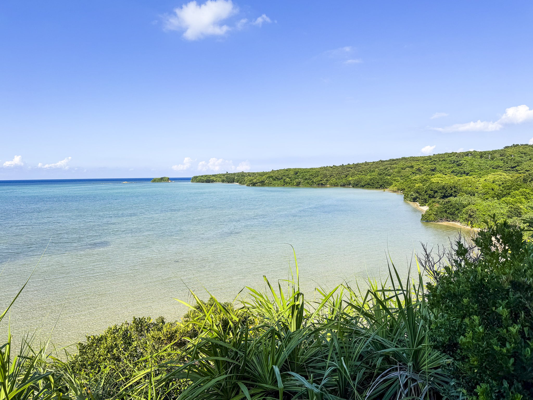 View from Omija Road Park