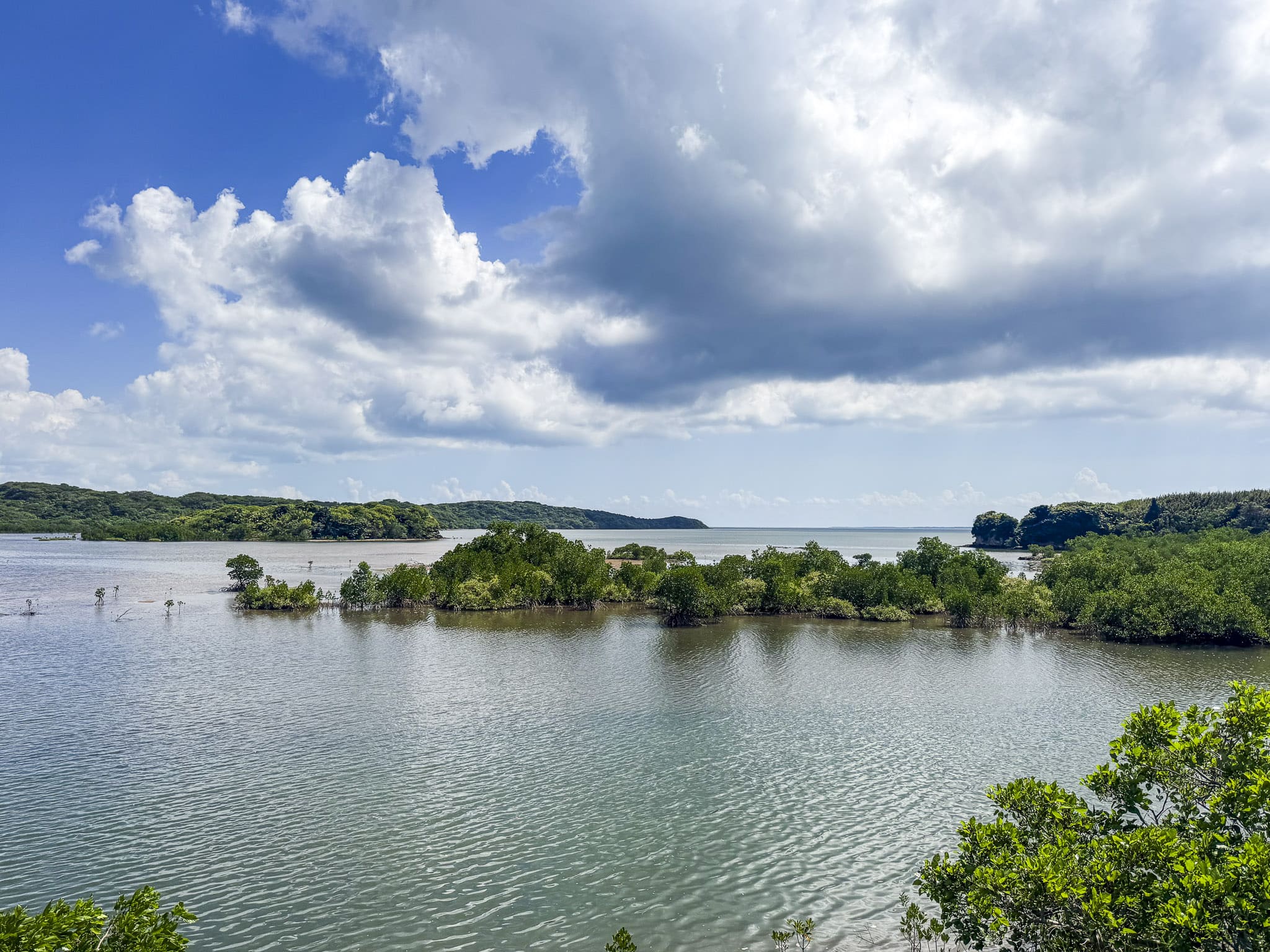Views from Shiirabashi Road Park
