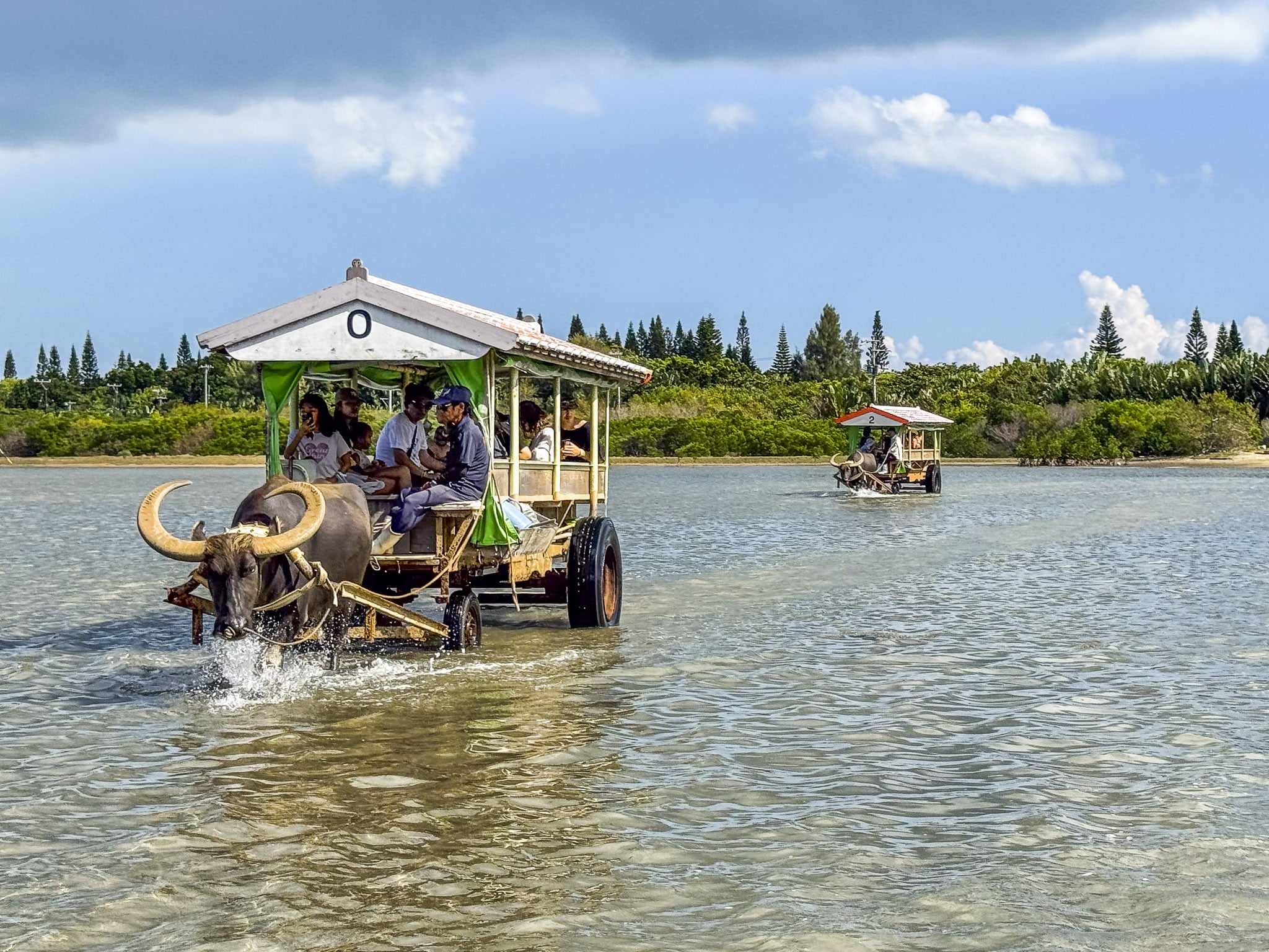 Water Buffalo cart crossing to Yubu Island