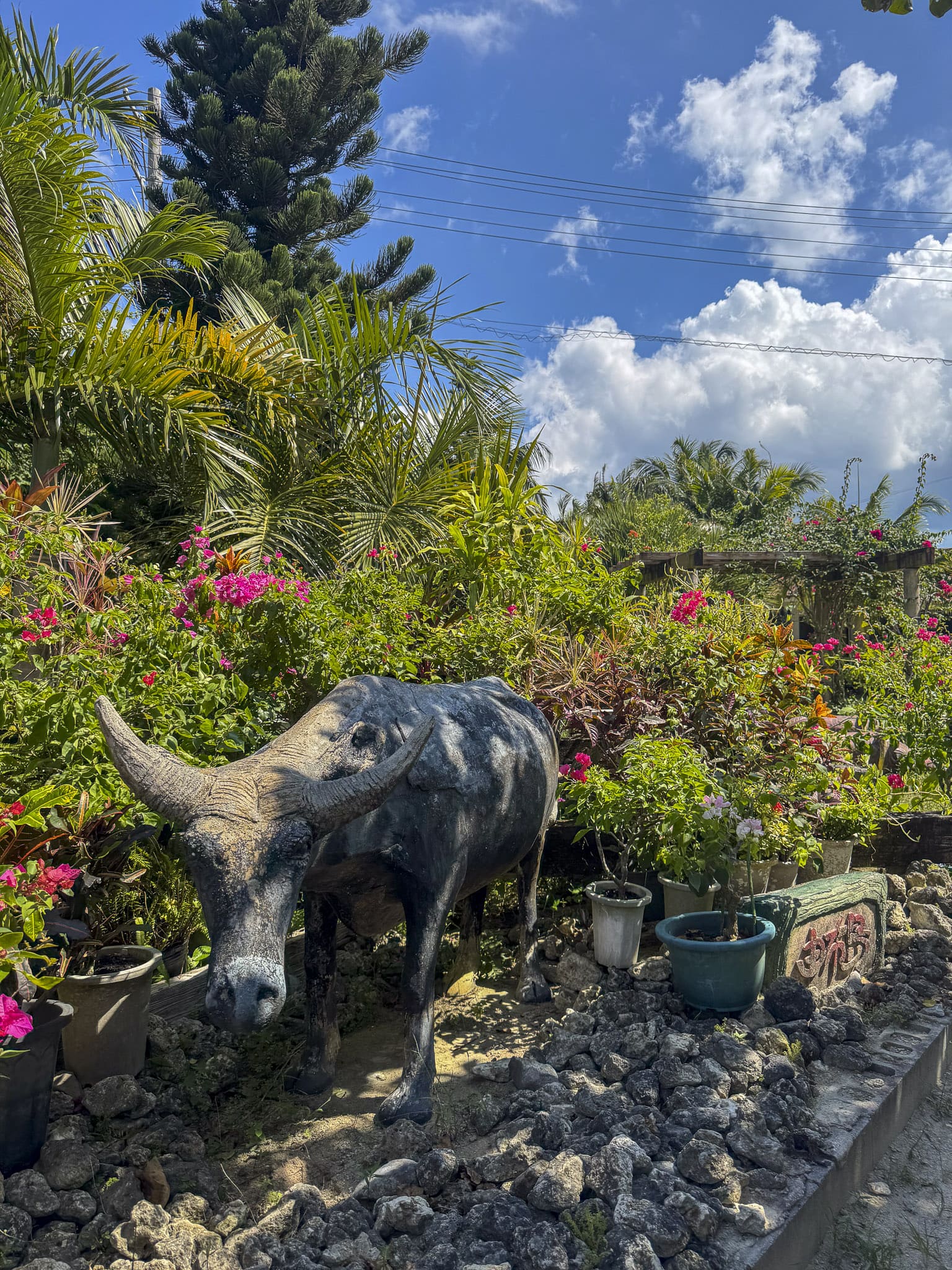 Water Buffalo Statue