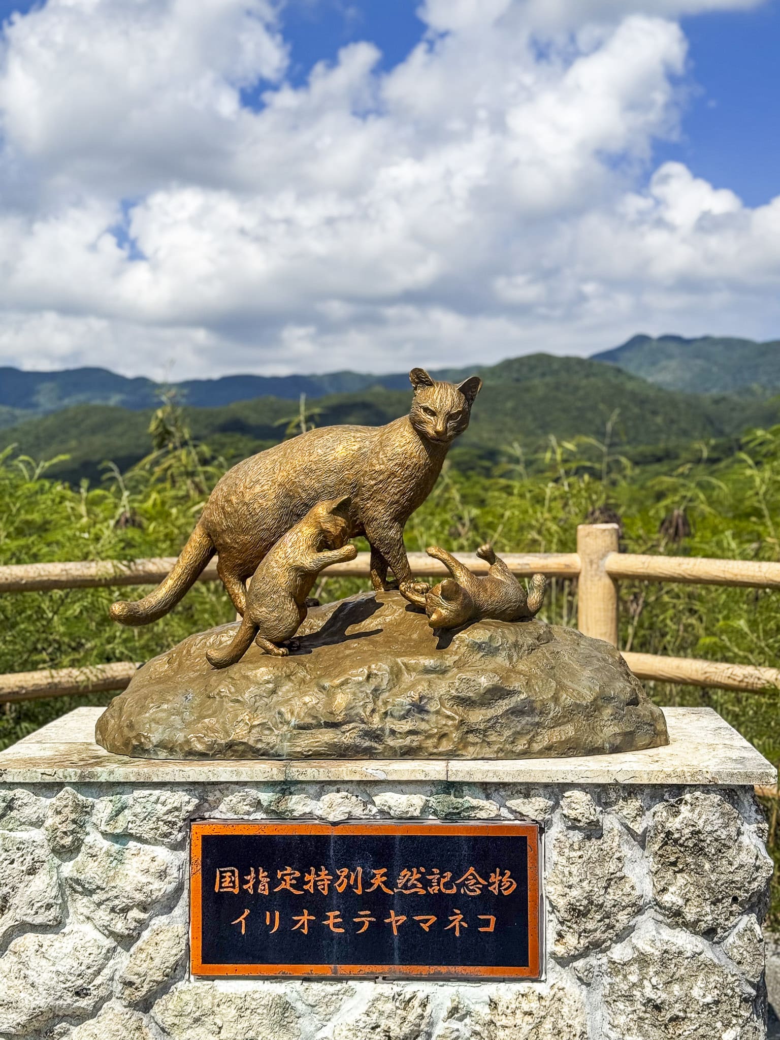 Yamaneko Memorial at Shiirabashi Road Park