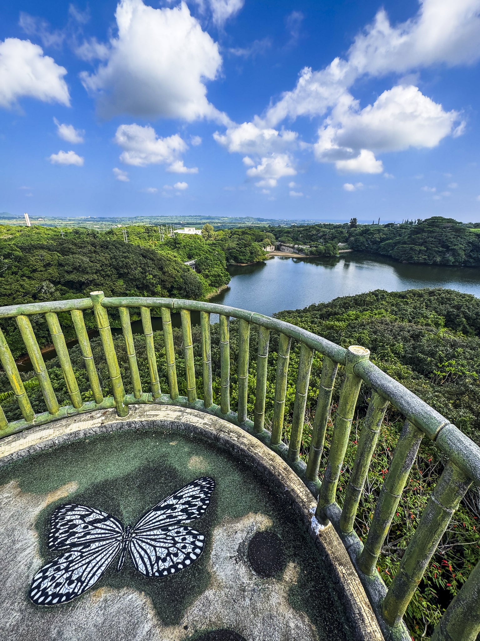 View from Crested Serpent Eagle Observatory in Banna Park