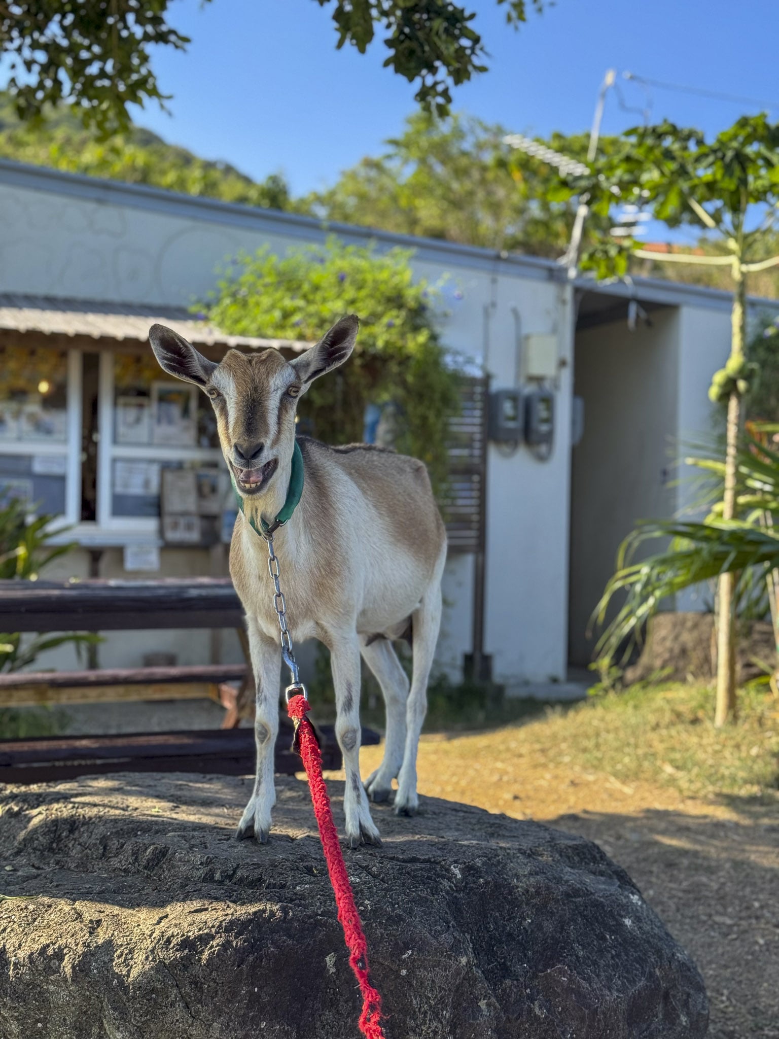 Cafe Tamatorizaki Gateway