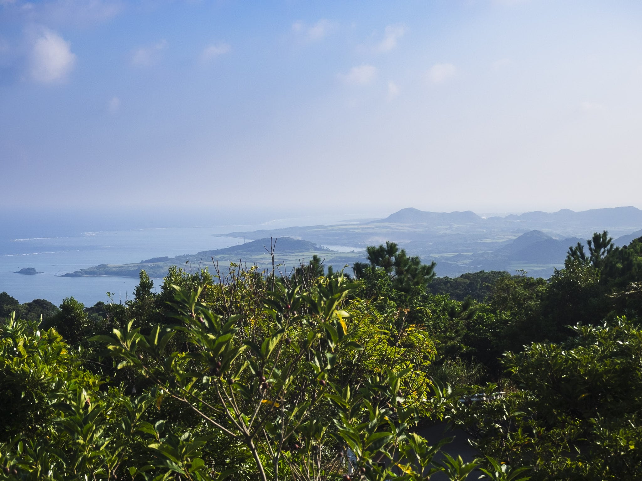 View from Nosokodake Observatory