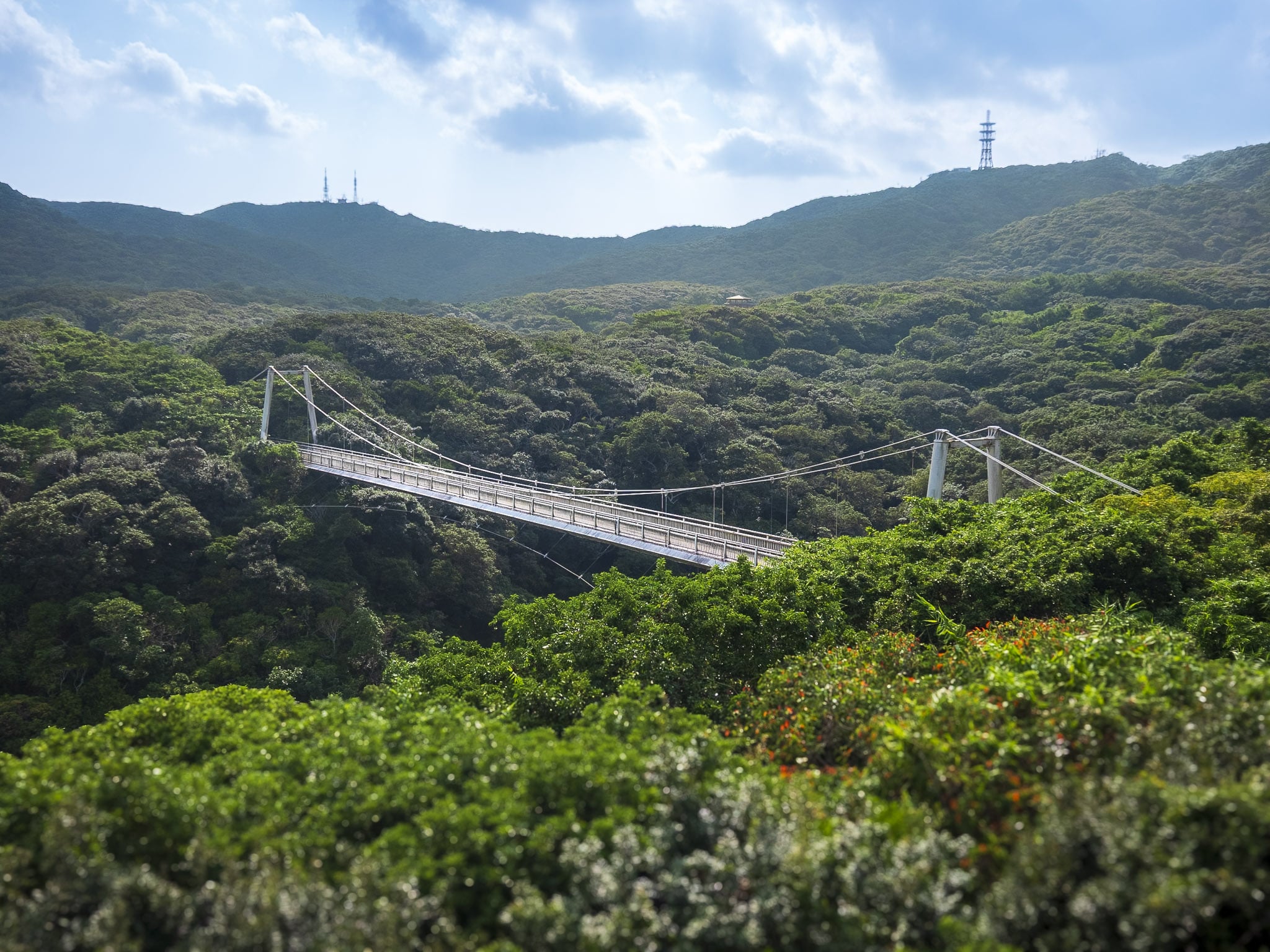 Seishika Bridge in Banna Park