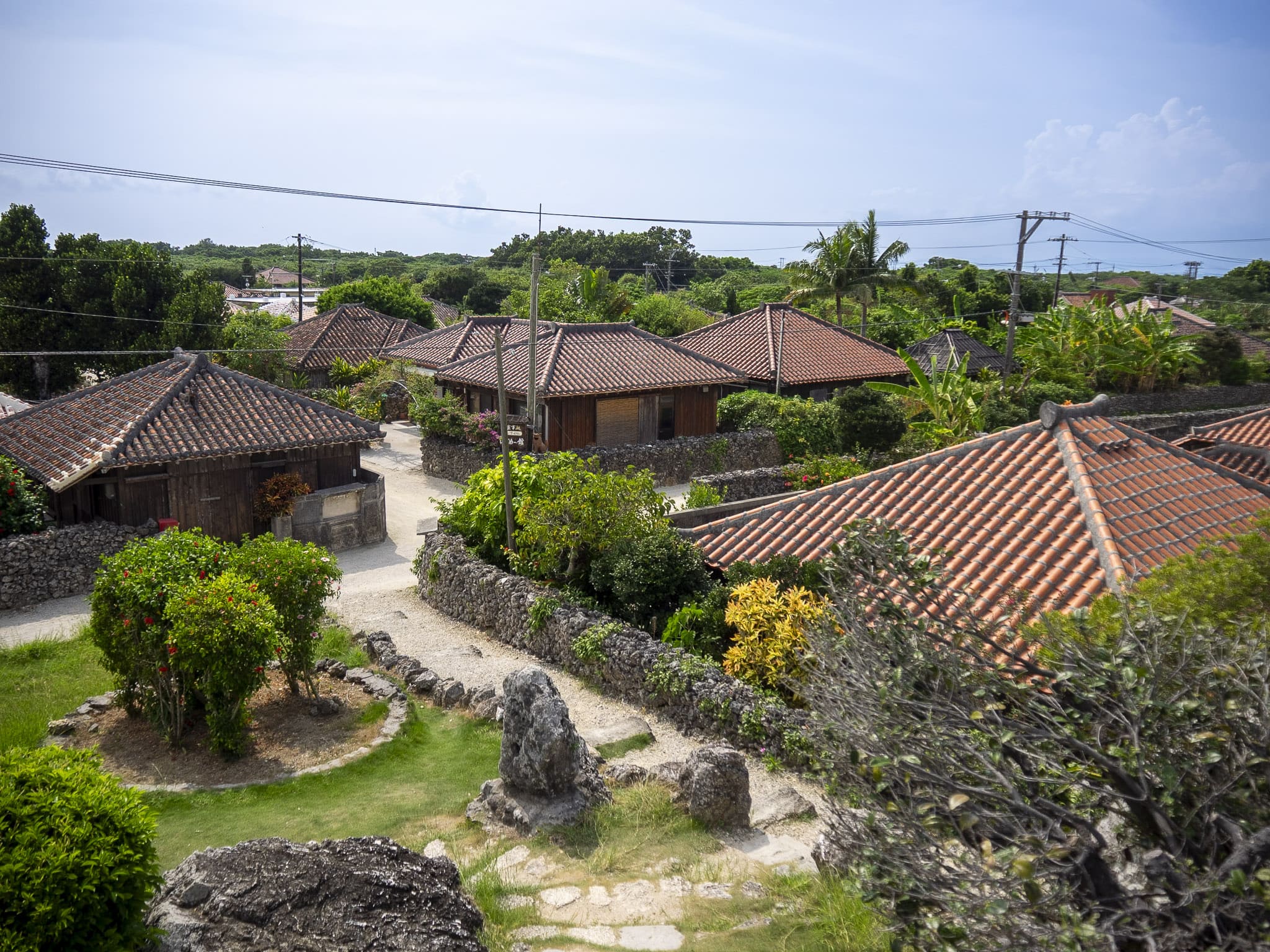 View from Nagomi Tower