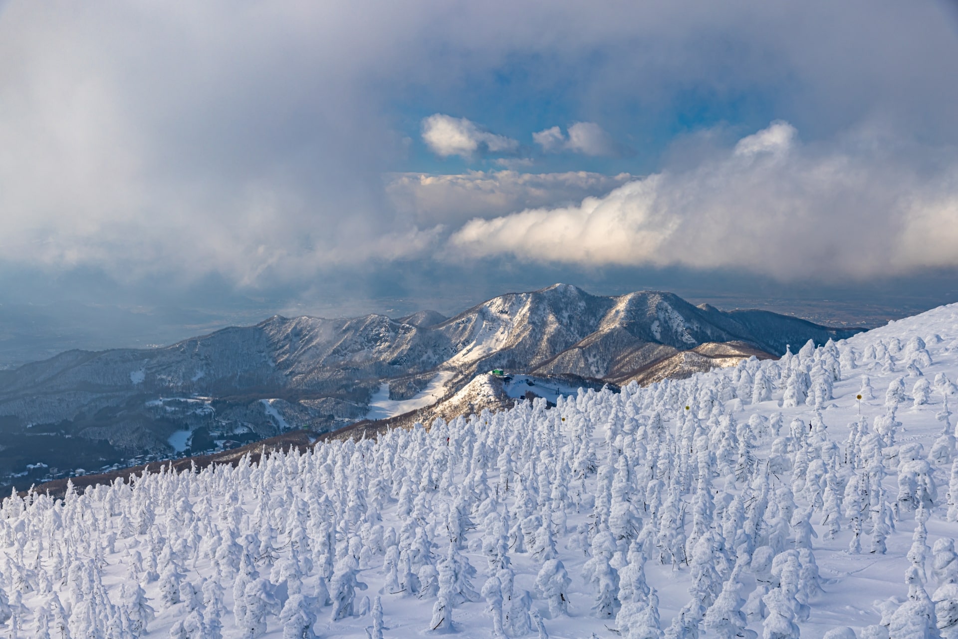 The Snow Monsters (Juhyo)