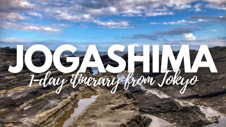 1-Day Trip to Jogashima from Tokyo