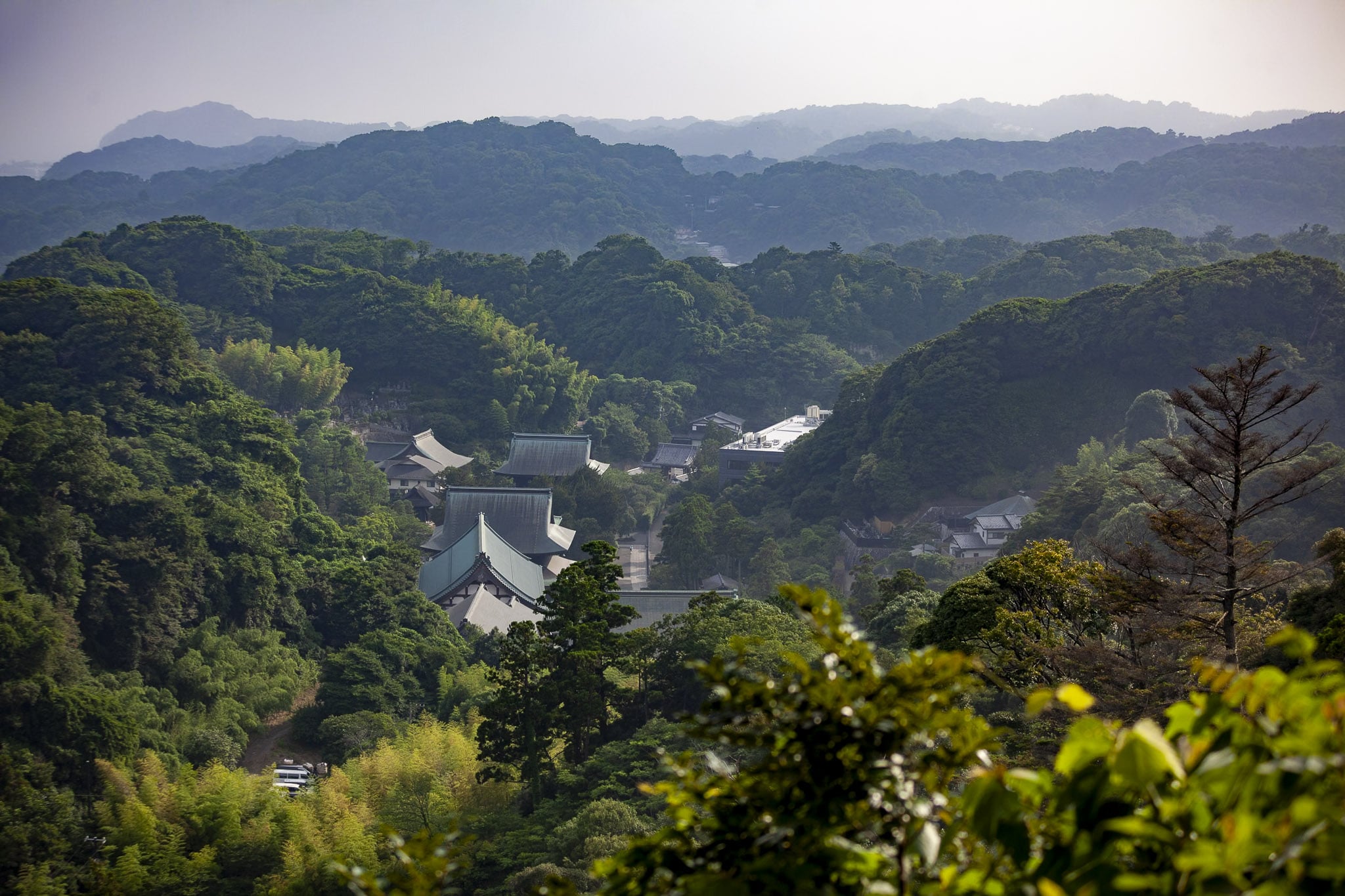 Panoramic views from Hansobo