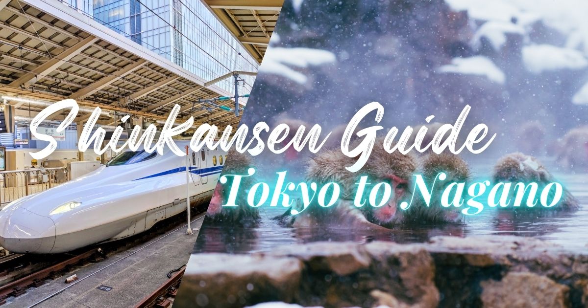 Tokyo to Nagano by Shinkansen
