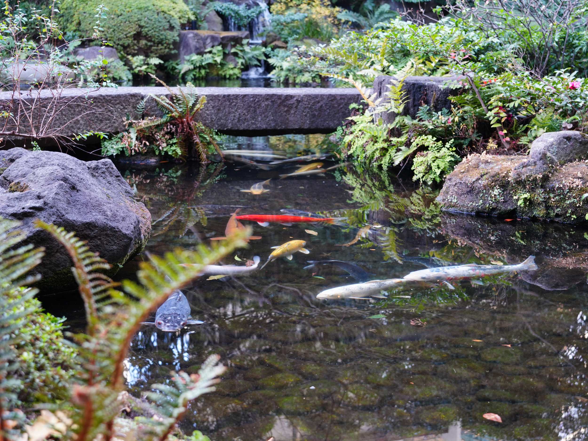 ANA InterContinental Hotel