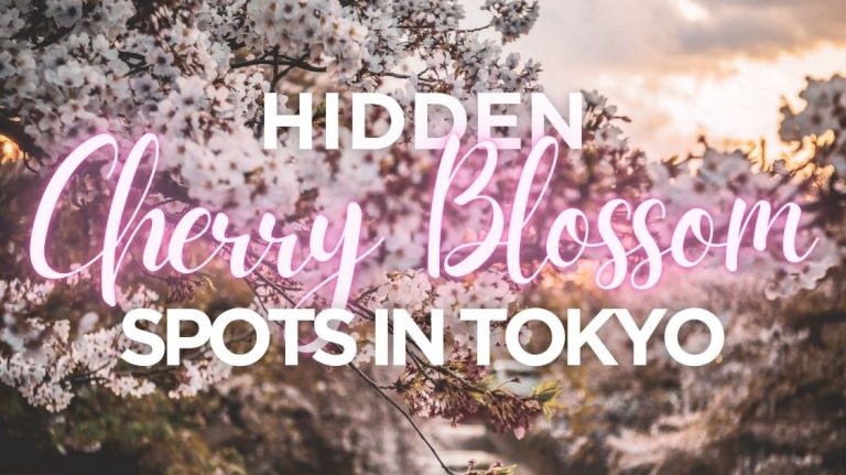 Hidden Cherry Blossom Spots in Tokyo: Riverside Sakura Beyond Nakameguro