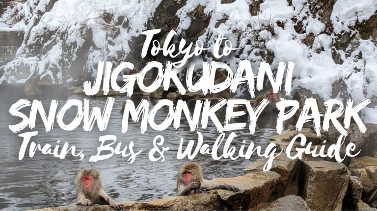 Tokyo to Jigokudani Snow Monkey Park: Train, Bus & Walking Guide