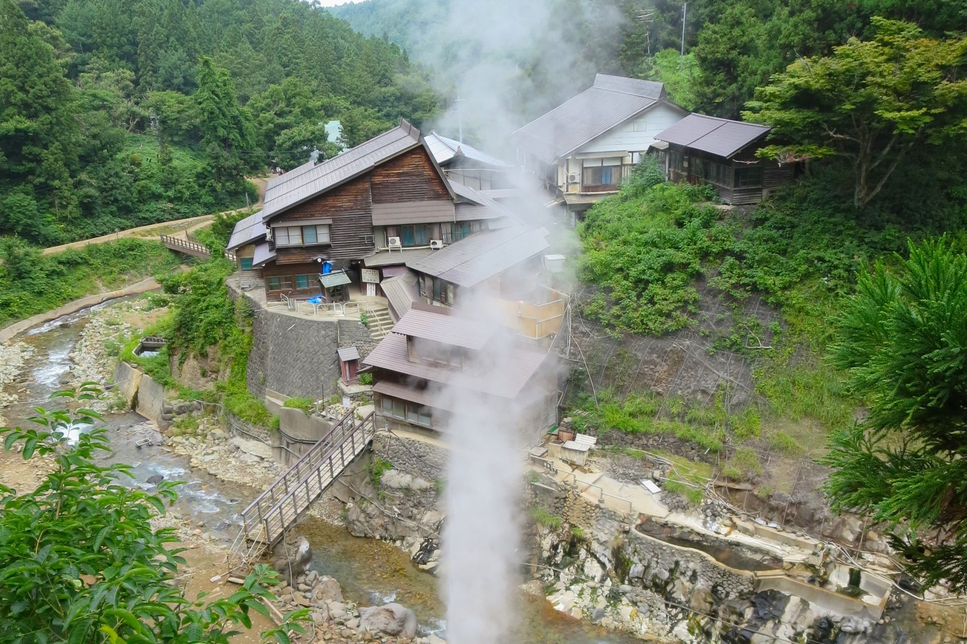 Jigokudani Valley in spring or summer