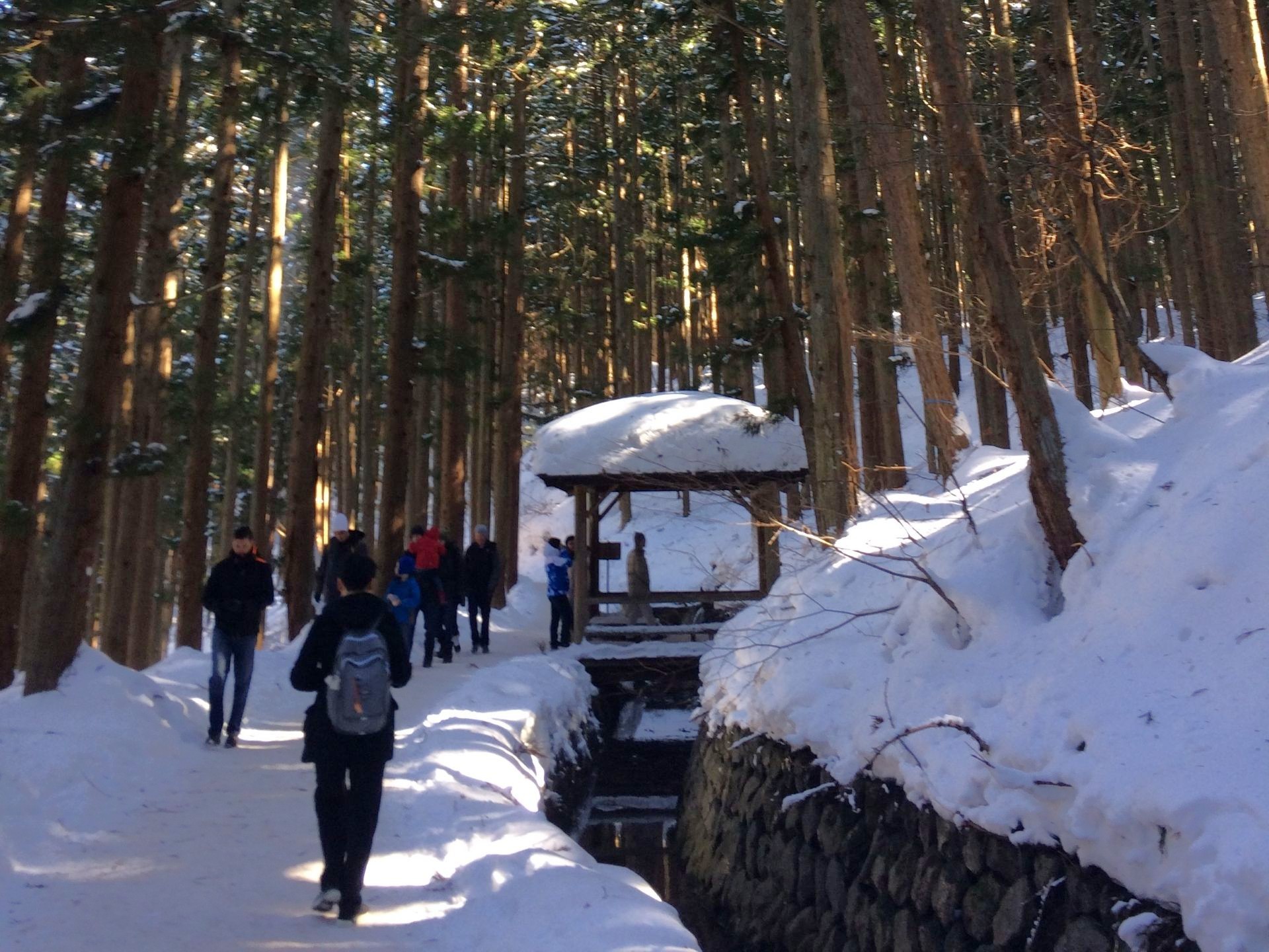 Snow covered path at Jigokudani Valley