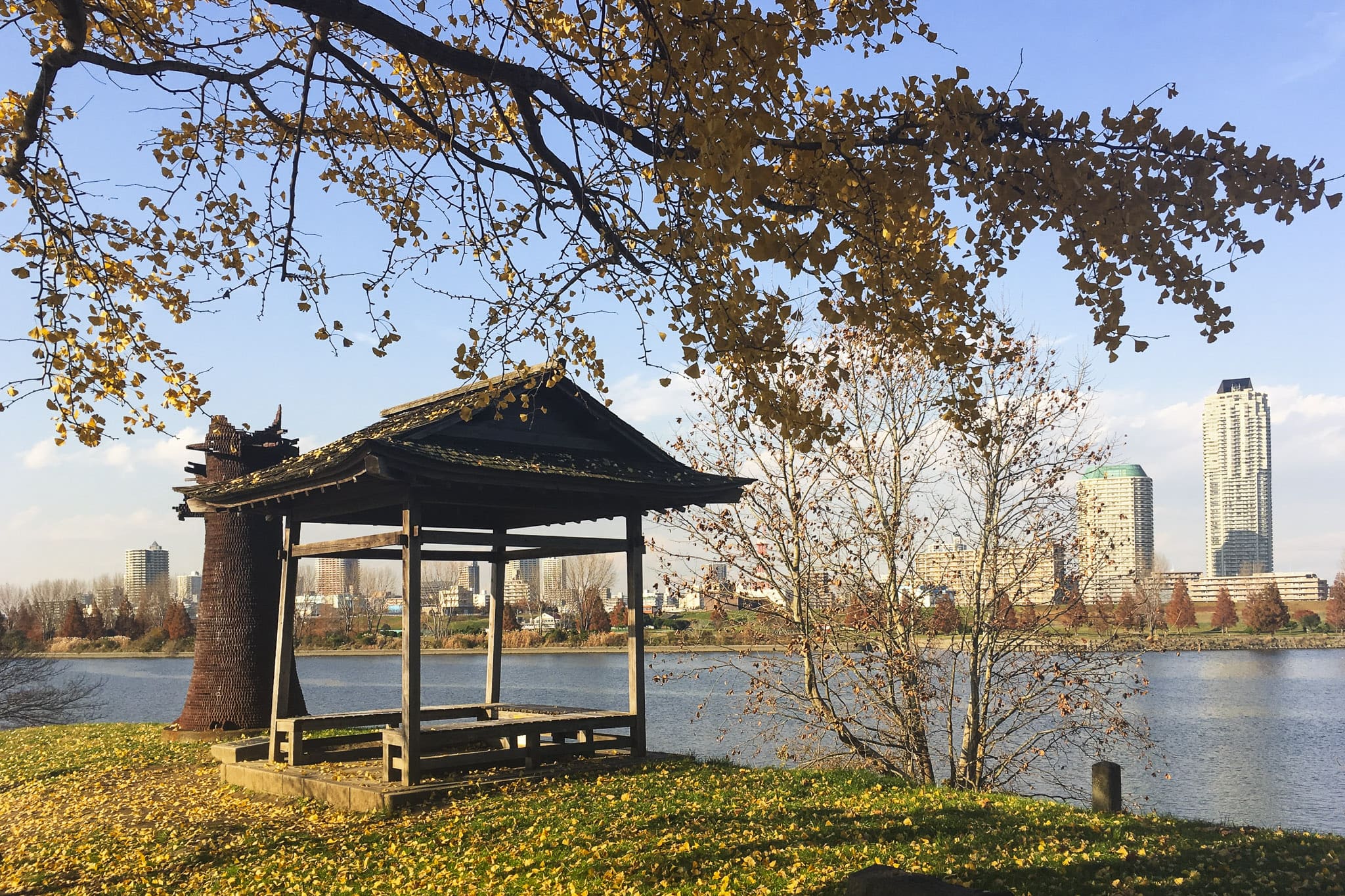 Nakanoshima in Arakawa