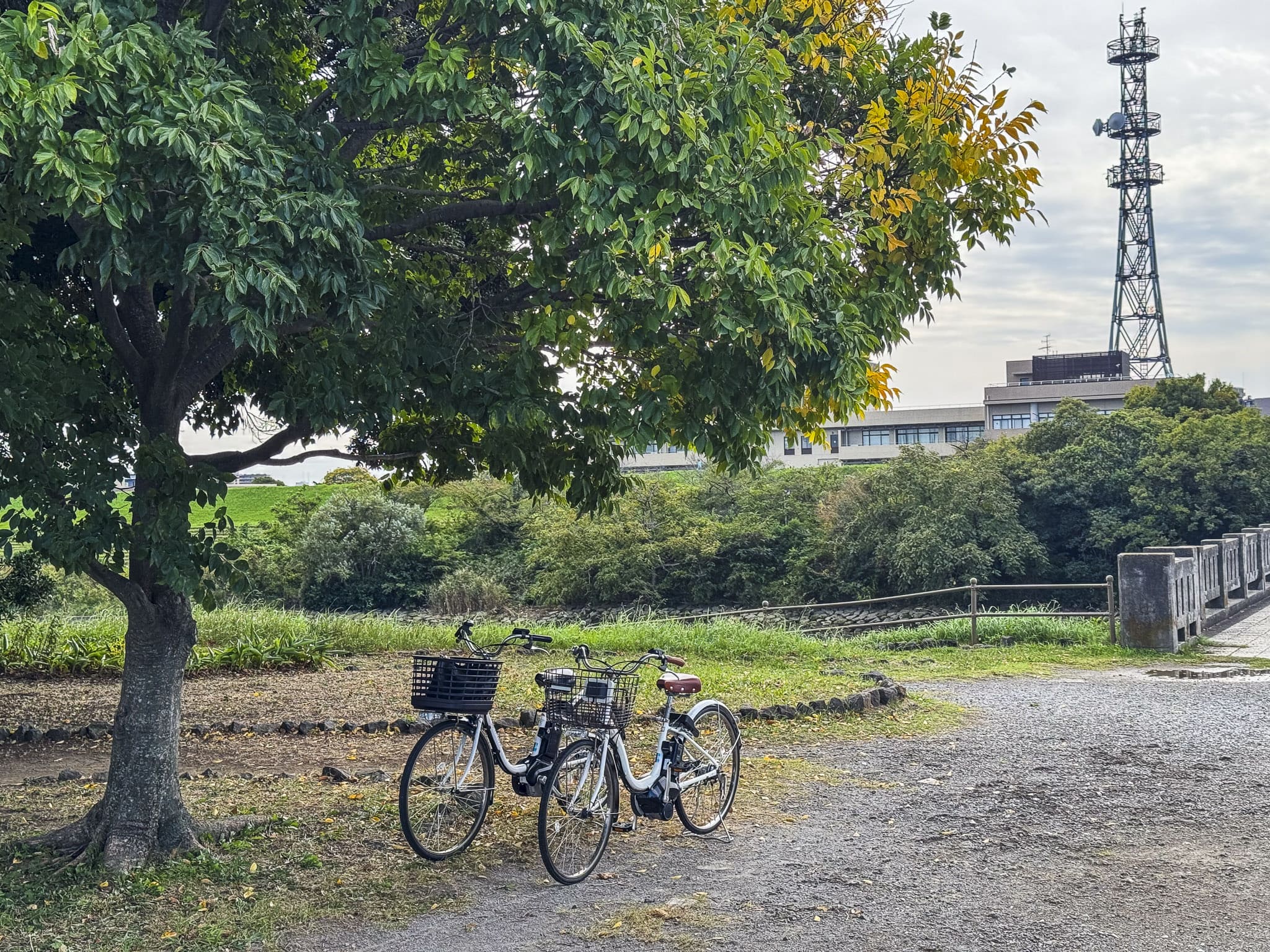 Bicycles parked in Nakanoshima