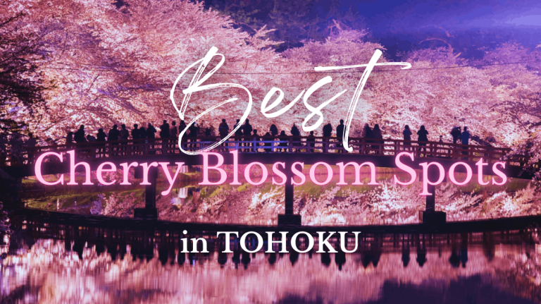 Best Cherry Blossom Spots in Tohoku: Where to See Sakura After Tokyo