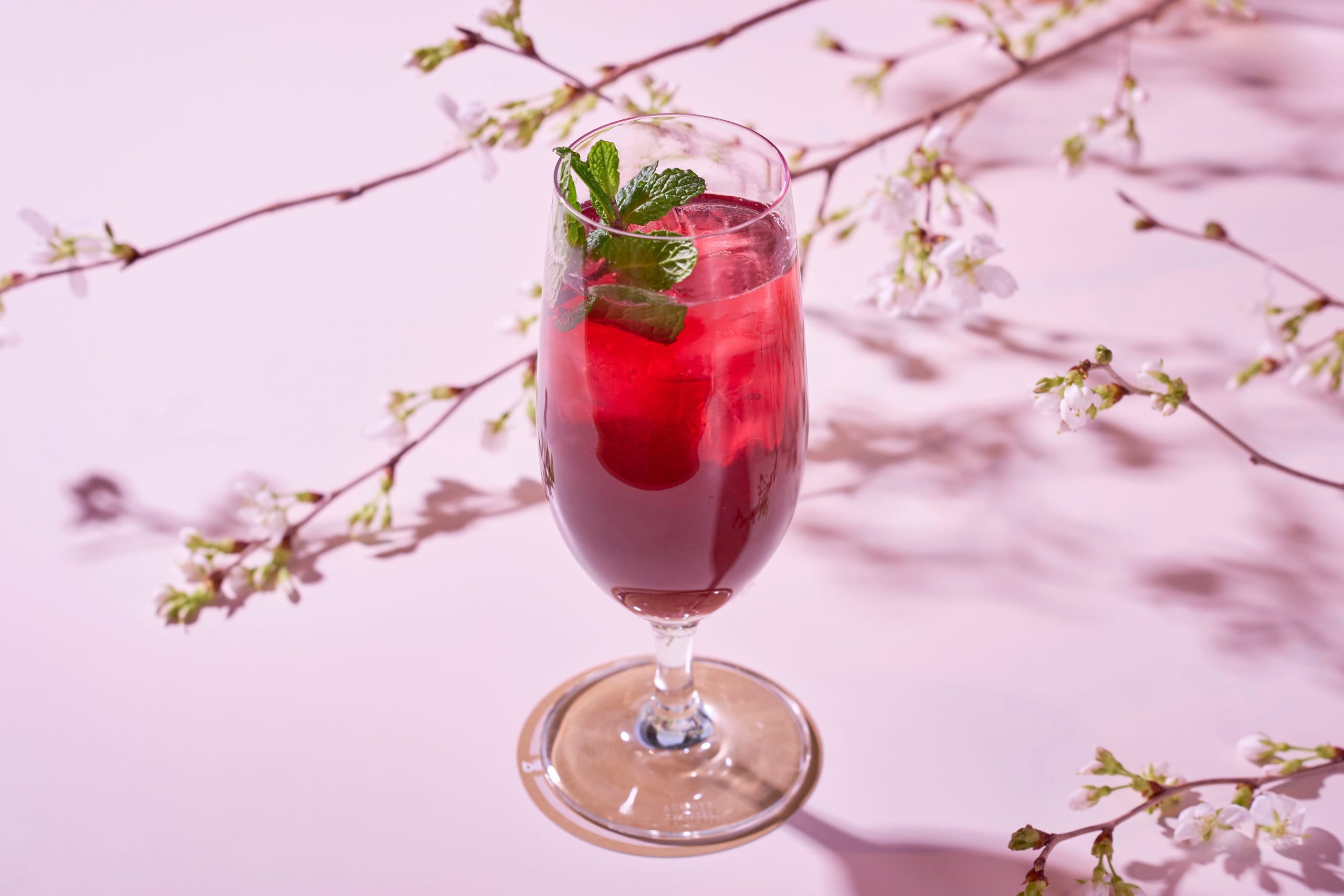 Hibiscus Spritz - hibiscus, rosehip tea, lime and soda