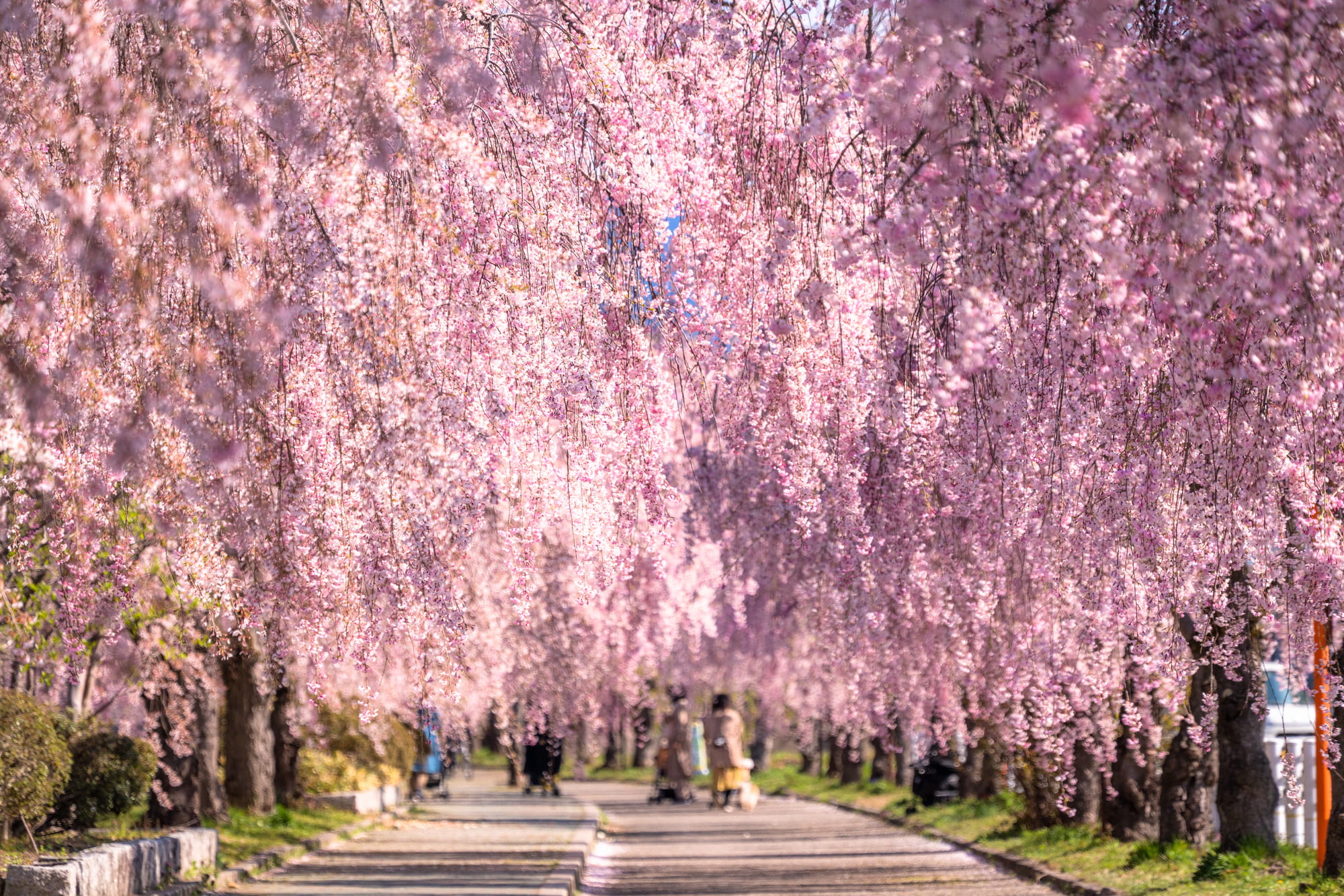 Nichu Line Memorial Cycling & Walking Path