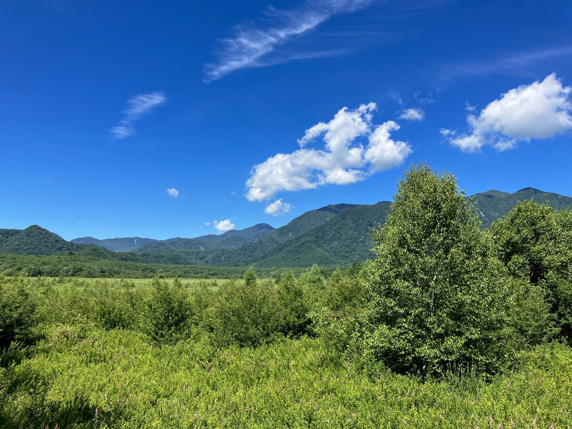 Senjogahara Marshlands in Summer