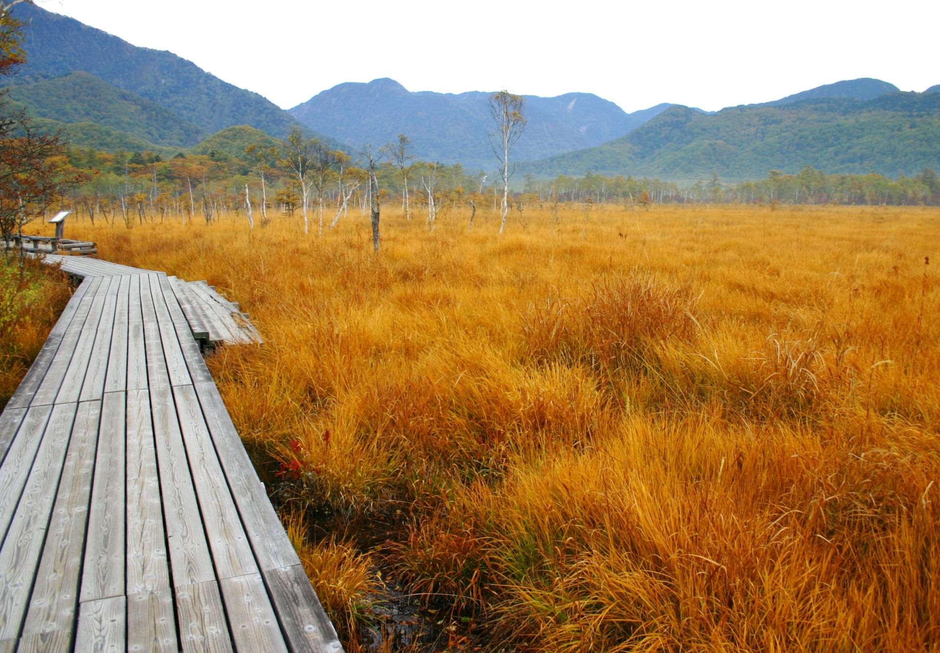 Senjogahara Marshland