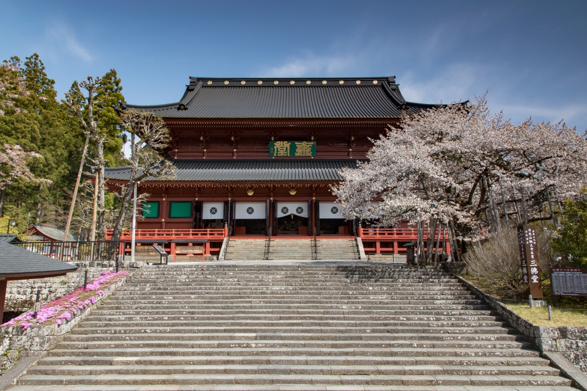 Sanbutsudo with cherry blossoms