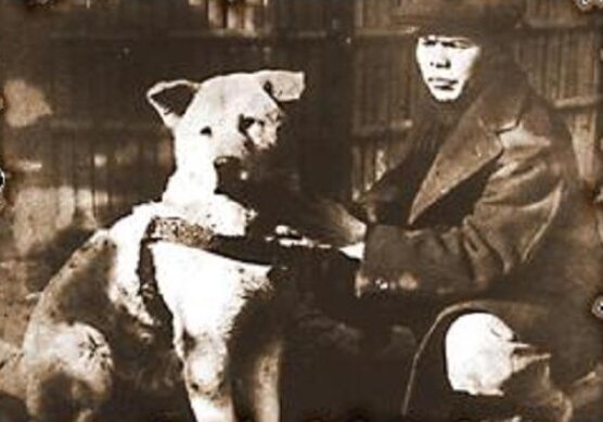 Hachi with his caretaker Kikusaburo Kobayashi, Ueno's former gardener.