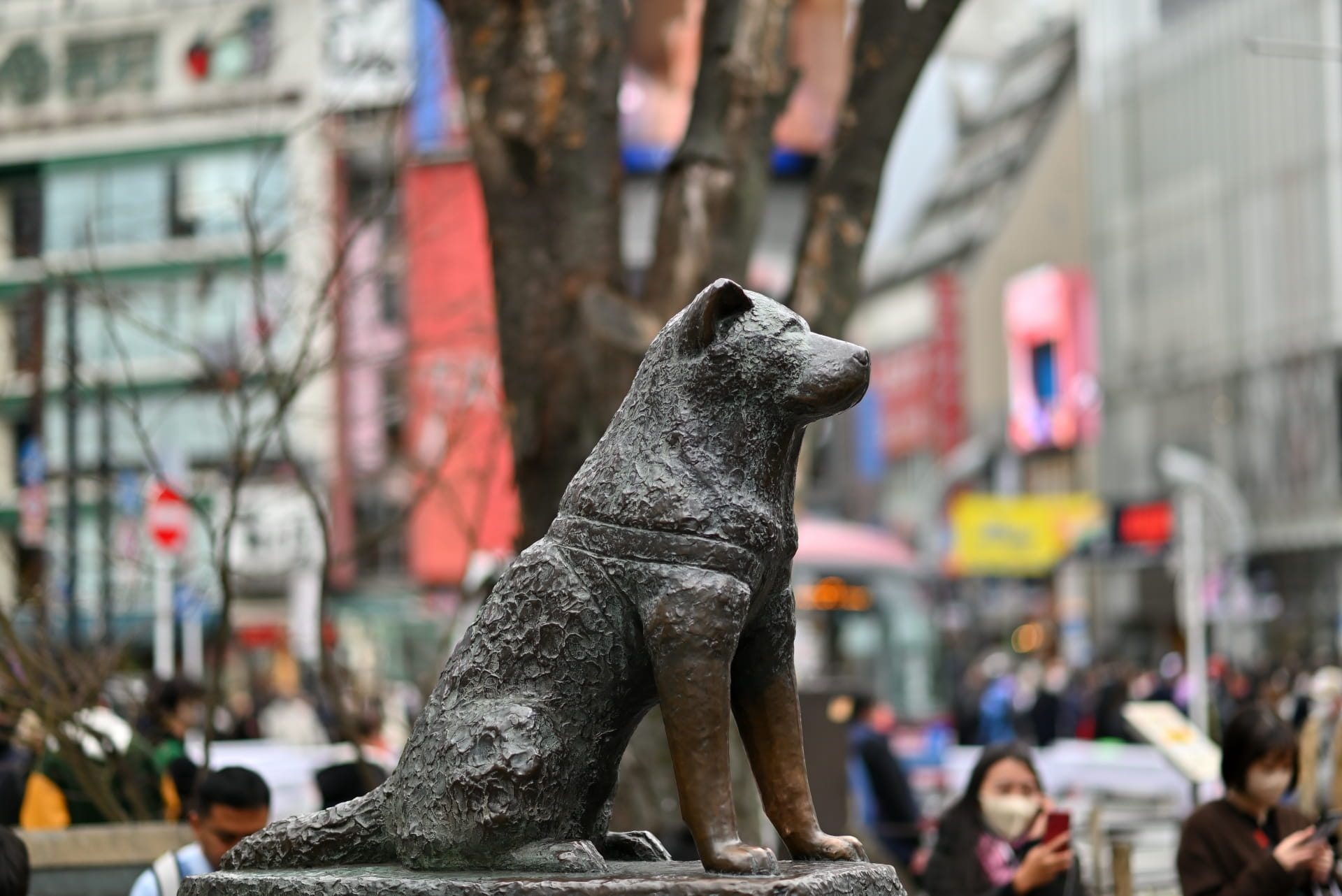 Hachiko Memorial Statue with Shibuya Center Gai in the background