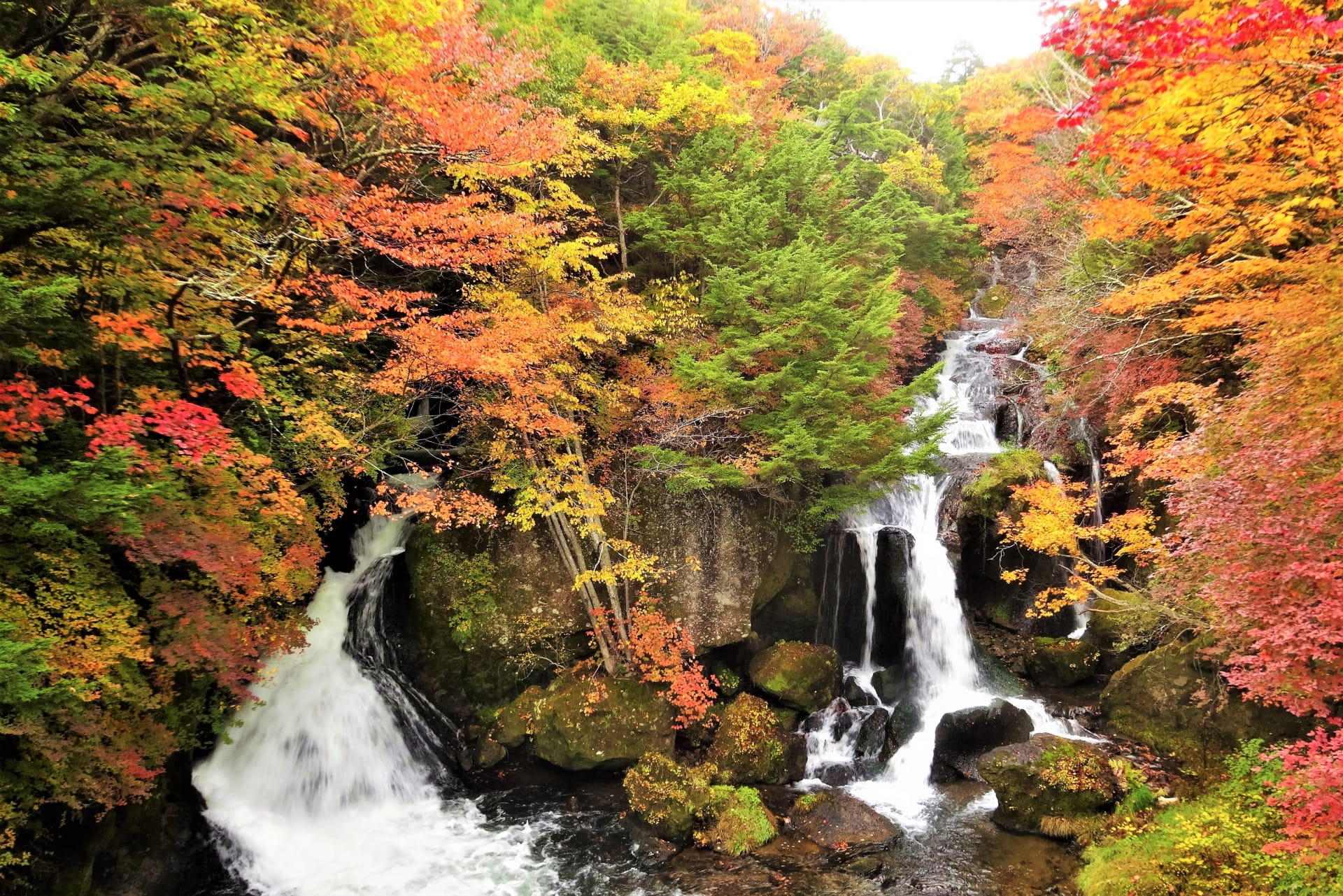 Okunikko Ryuzu Falls in autumn
