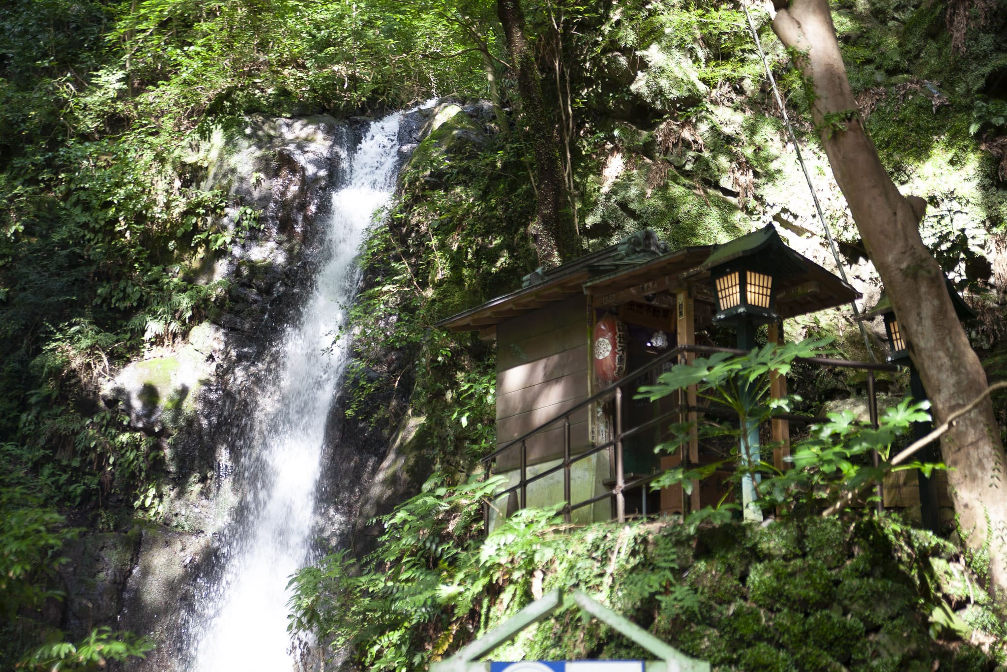 Fudo Falls in Yugawara Onsen