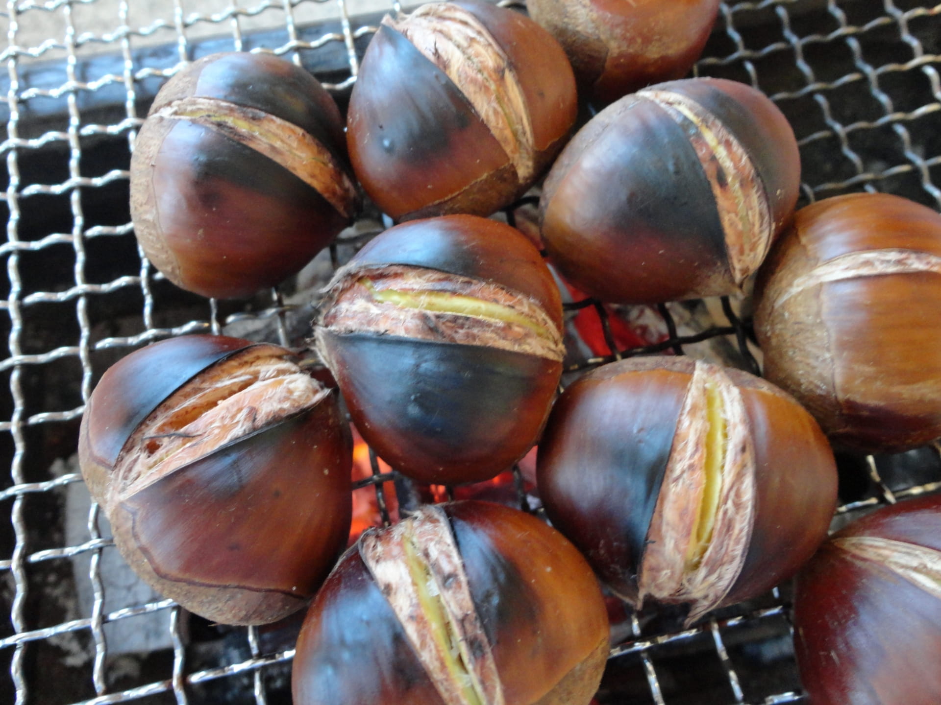Roasted Chestnuts