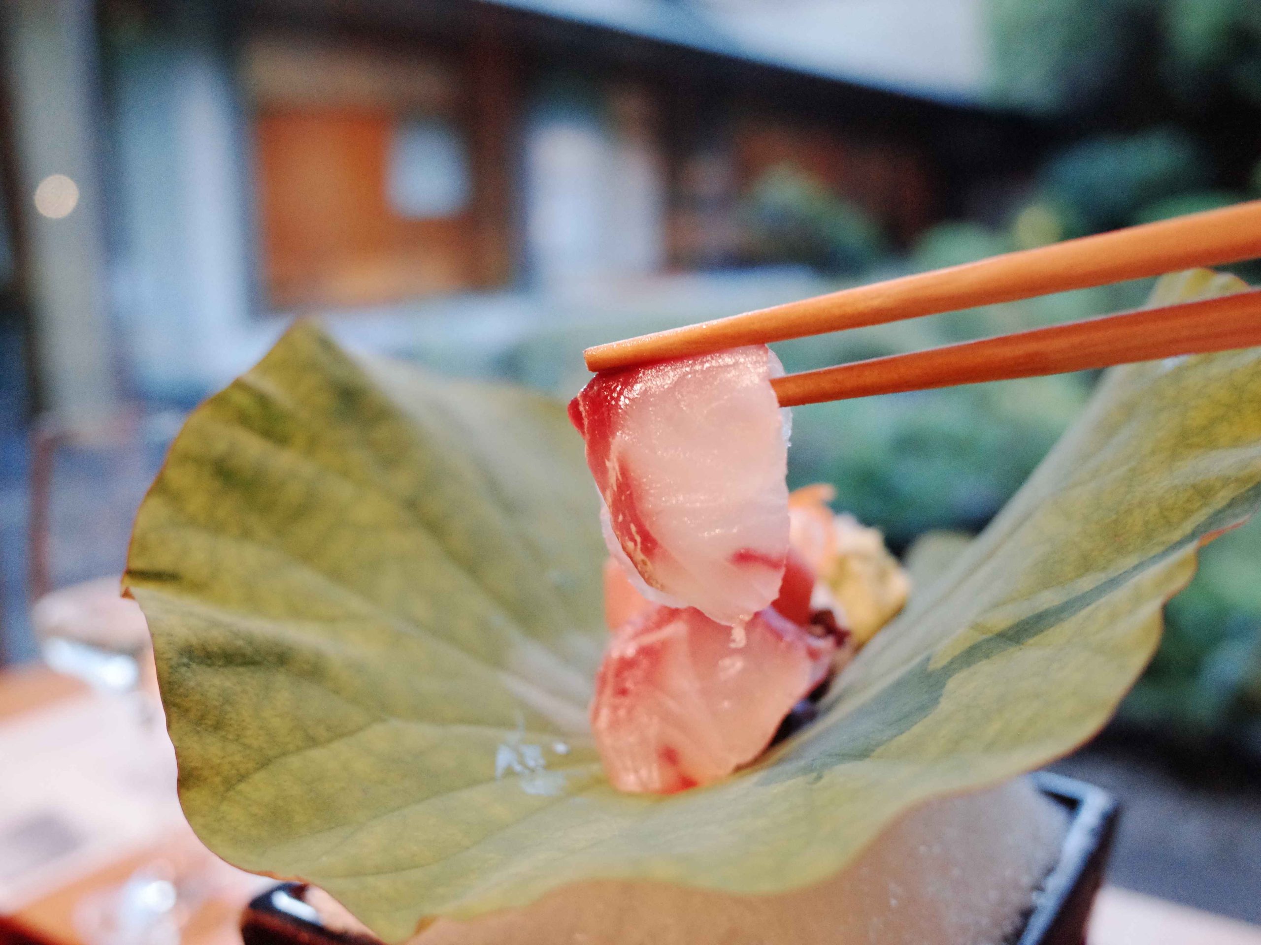 Summer sashimi assortment with tuna, flounder, squid and isaki