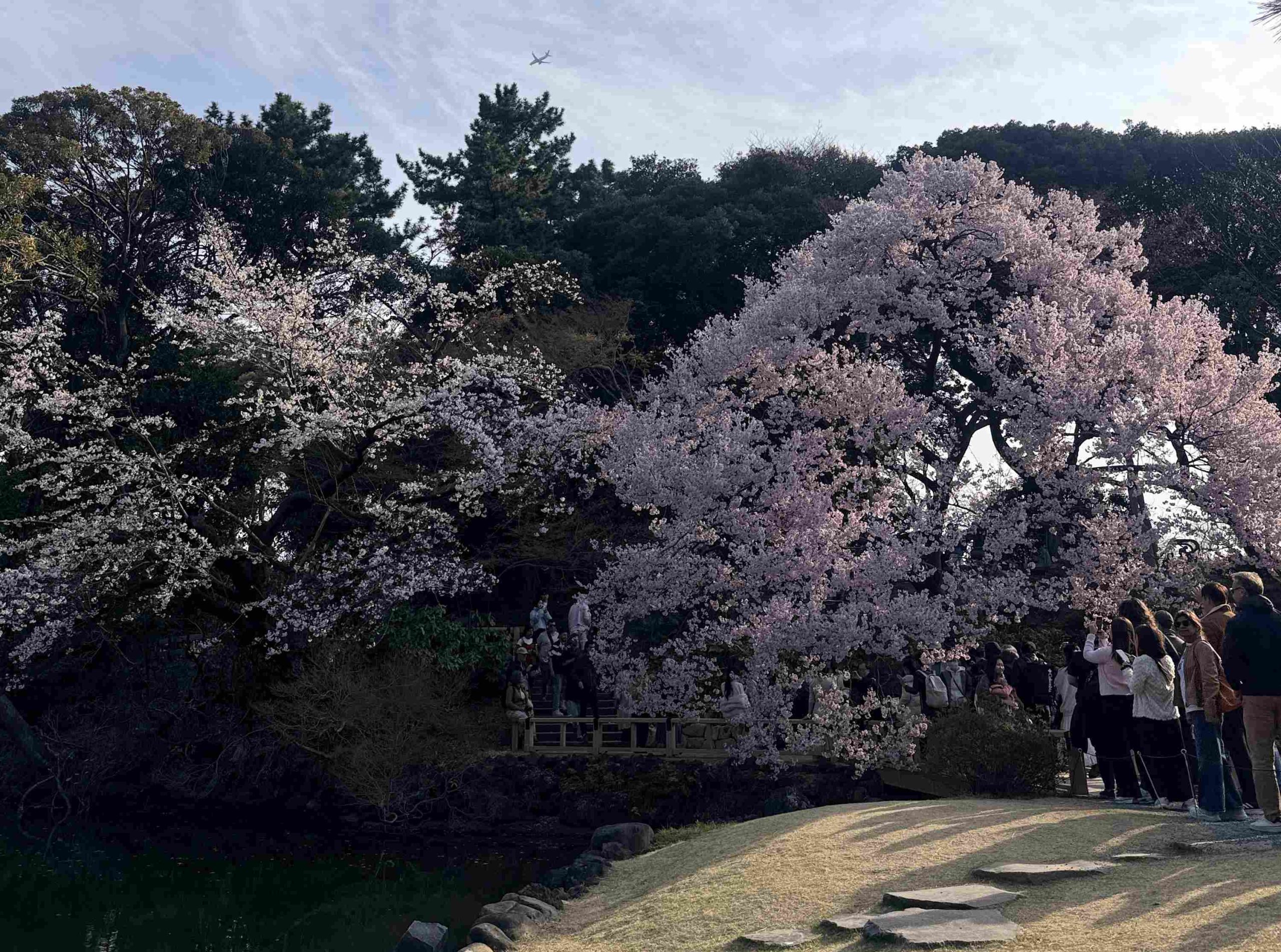shinjukugyoen