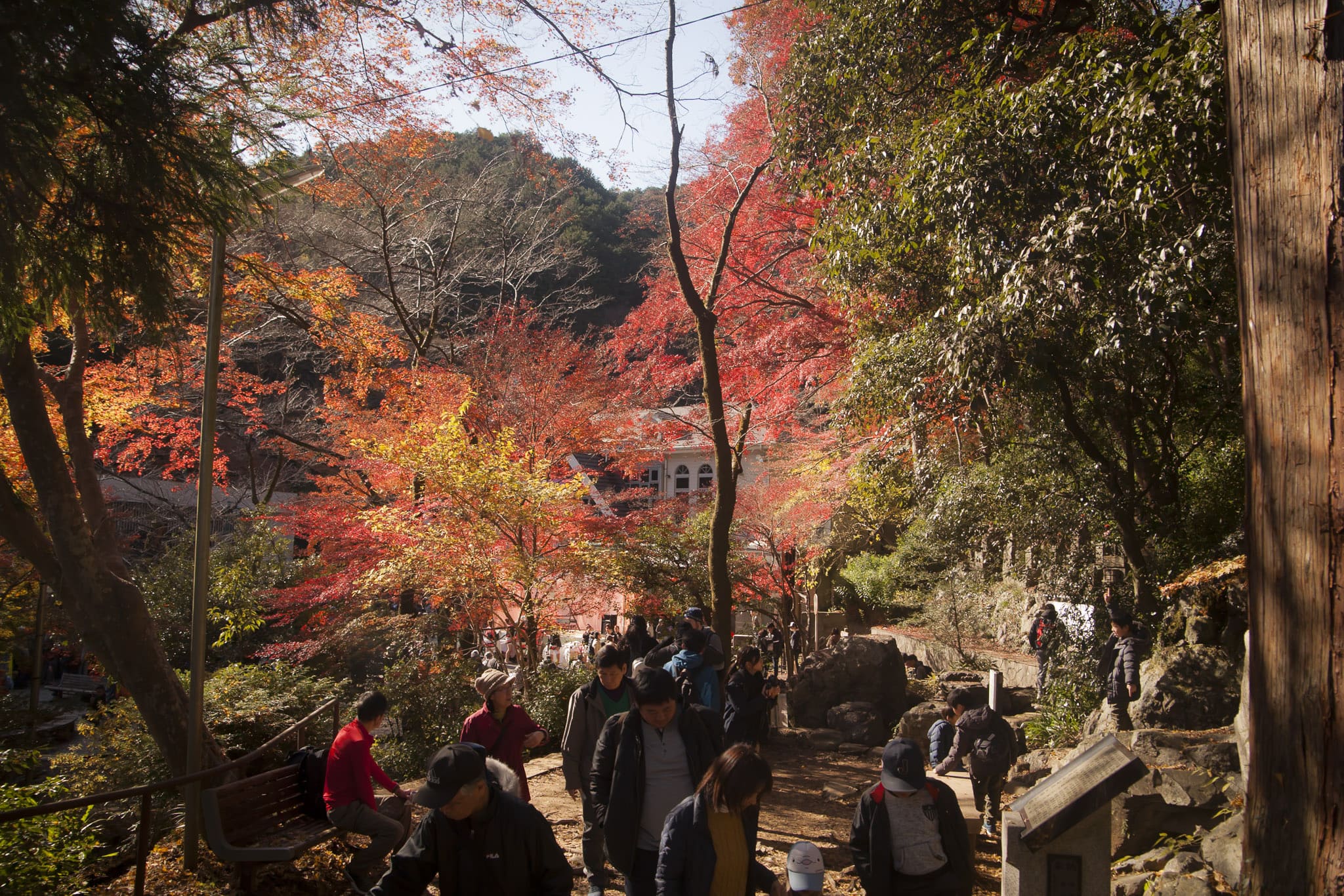 Visitors walking the Omotesando trail in Mount Takao in Autumn