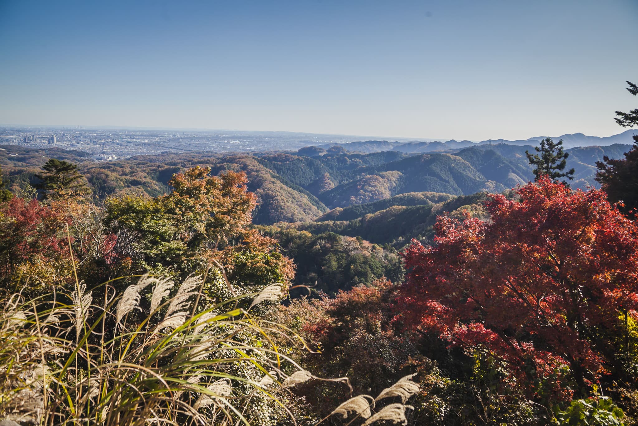 View from Kasumidai in Mount Takao