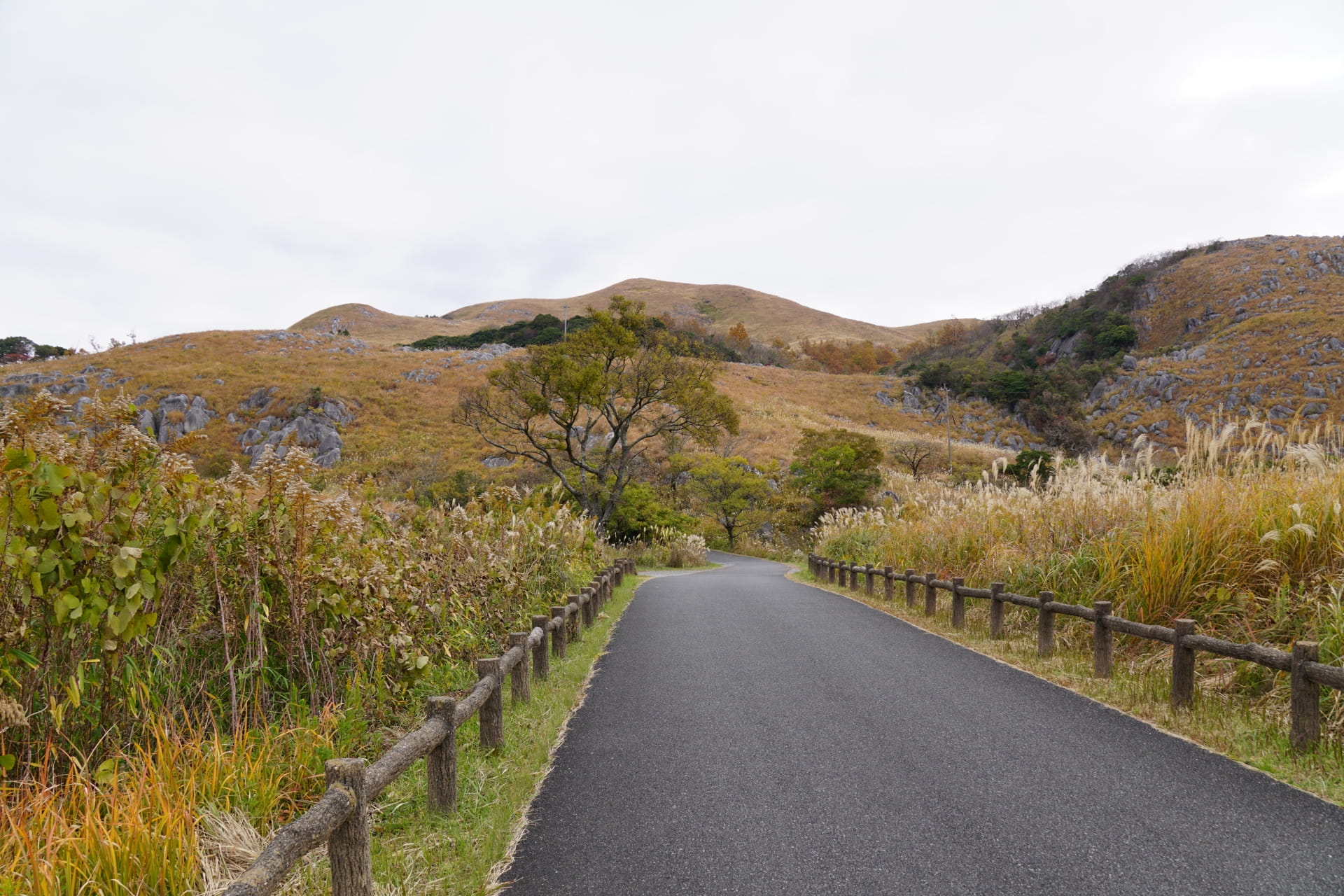 Hiraodai