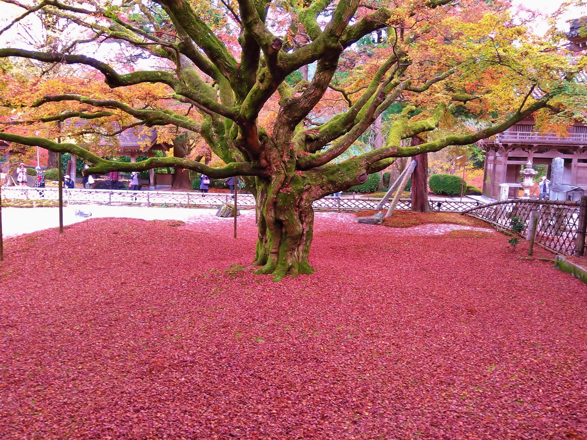 Raizan sennyoji temple