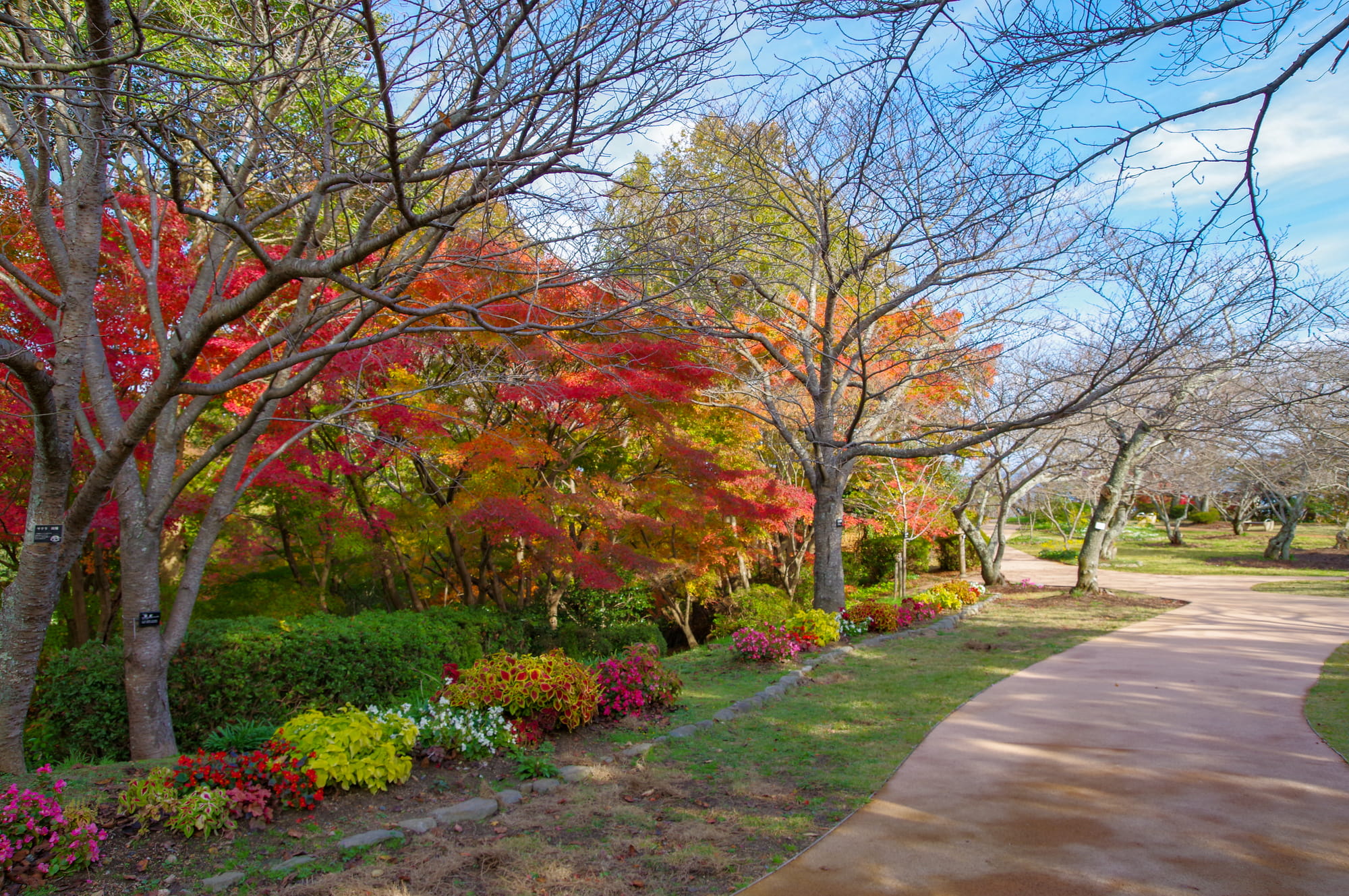 Shiranoe botanical garden