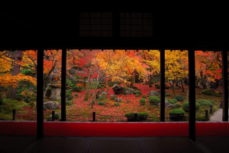 圓光寺：京都最佳隱藏寺廟